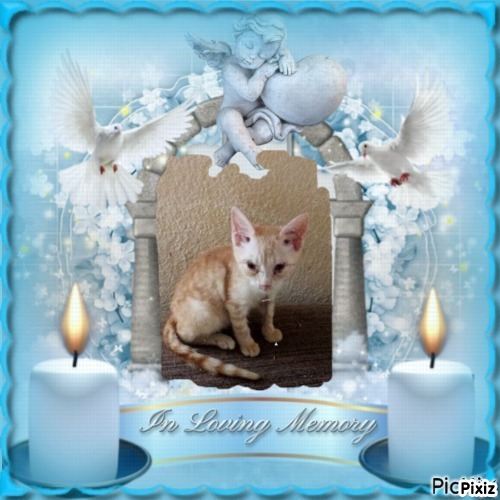 zoza1958 uploaded   8  day/s  ago