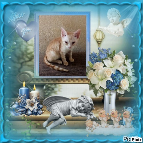 zoza1958 uploaded   8  day/s  ago