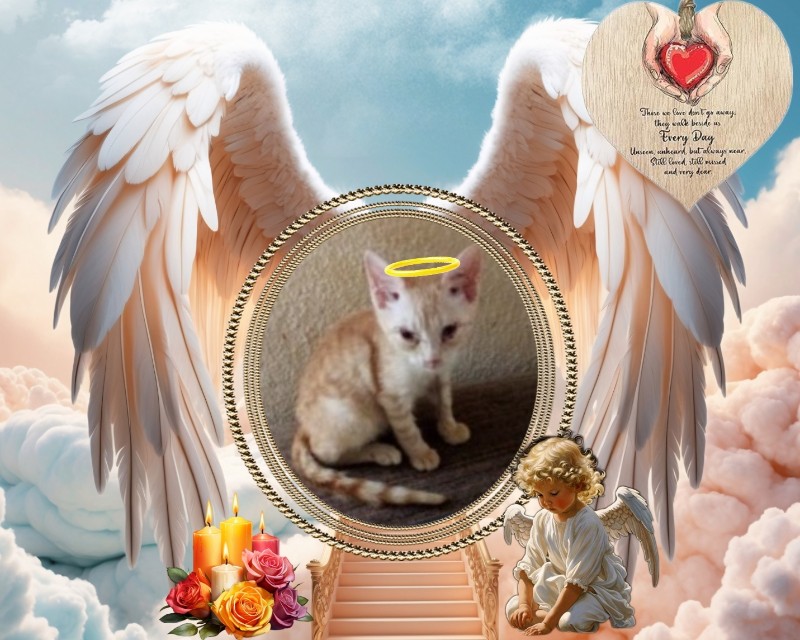 zoza1958 uploaded   7  day/s  ago