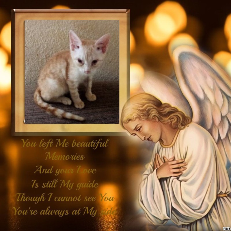 zoza1958 uploaded   8  day/s  ago