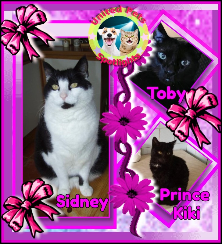 zoza1958 uploaded   289  day/s  ago