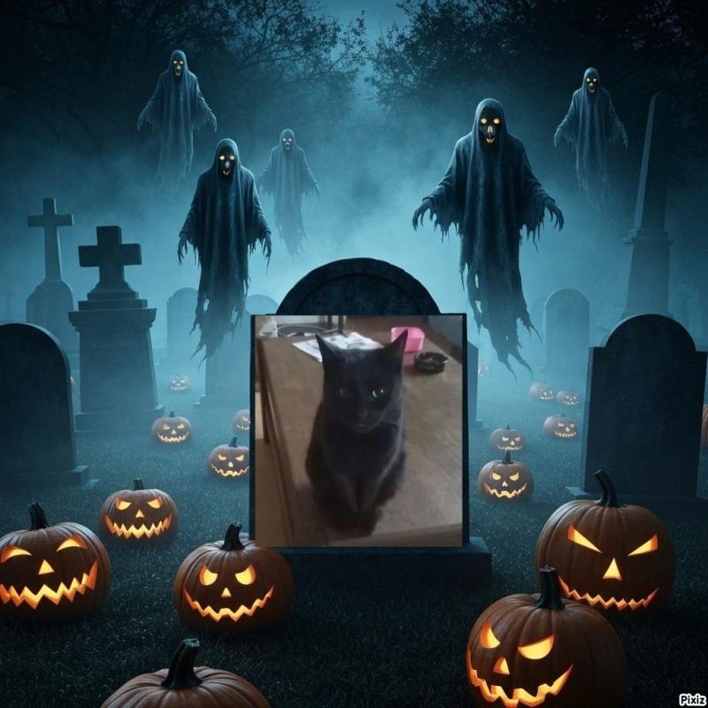 Prince Kiki of the zoza1958 family