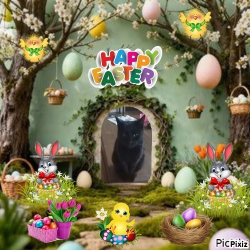 zoza1958 uploaded   6  day/s  ago