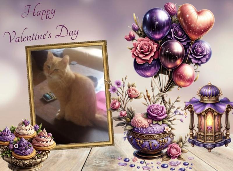 Prince  Miki of the zoza1958 family