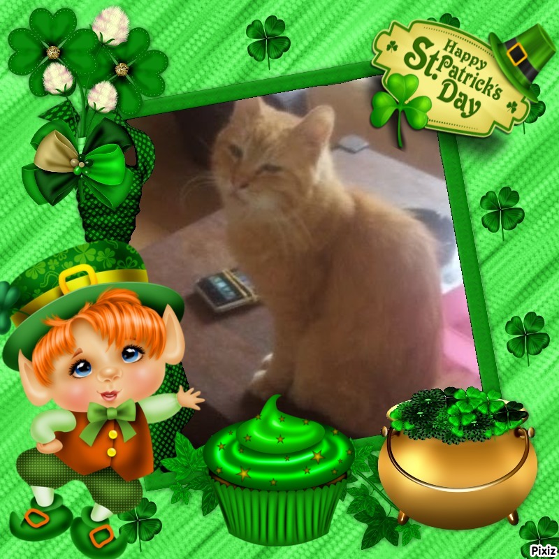 zoza1958 uploaded   31  day/s  ago