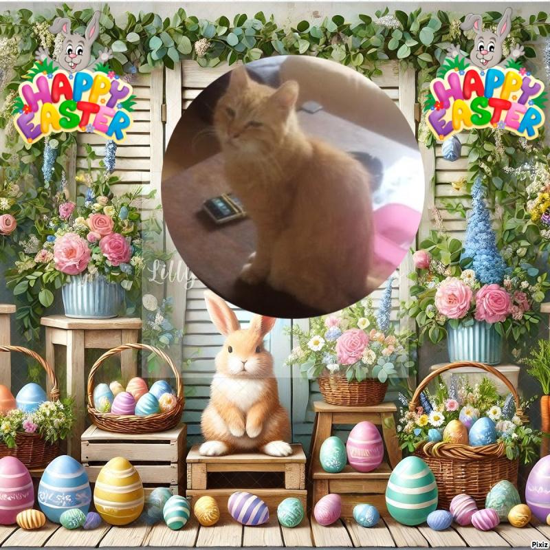 zoza1958 uploaded   6  day/s  ago