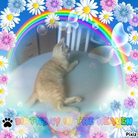 zoza1958 uploaded   5 hour/s ago