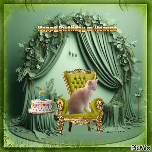 zoza1958 uploaded   5 hour/s ago