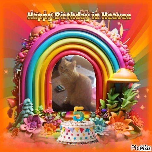 zoza1958 uploaded   5 hour/s ago