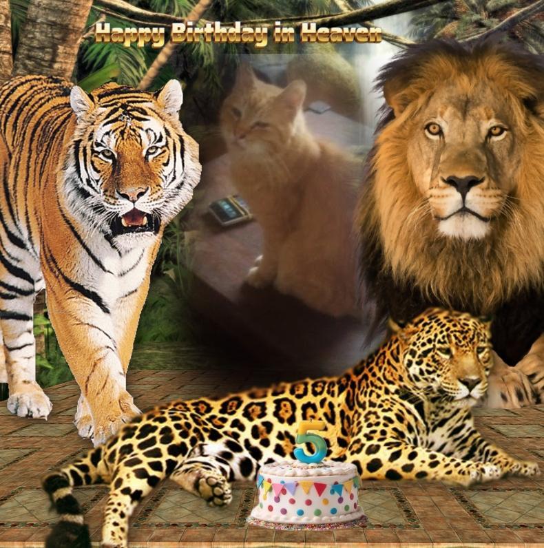 zoza1958 uploaded   5 hour/s ago