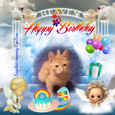 zoza1958 uploaded   4  day/s  ago