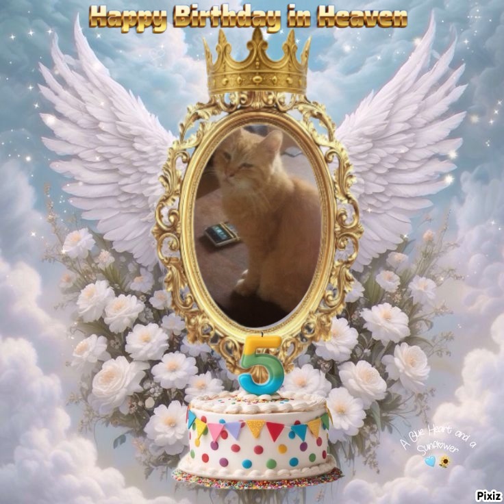 zoza1958 uploaded   3  day/s  ago