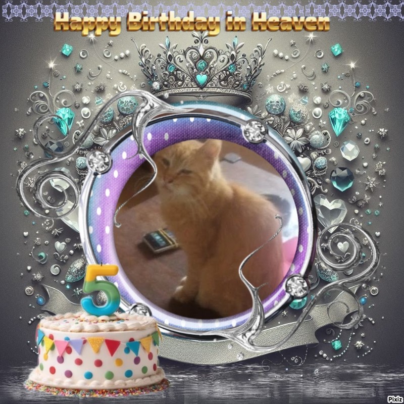 zoza1958 uploaded   3  day/s  ago