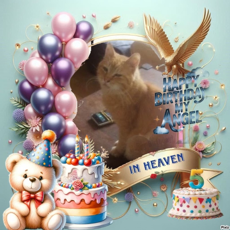 zoza1958 uploaded   3  day/s  ago