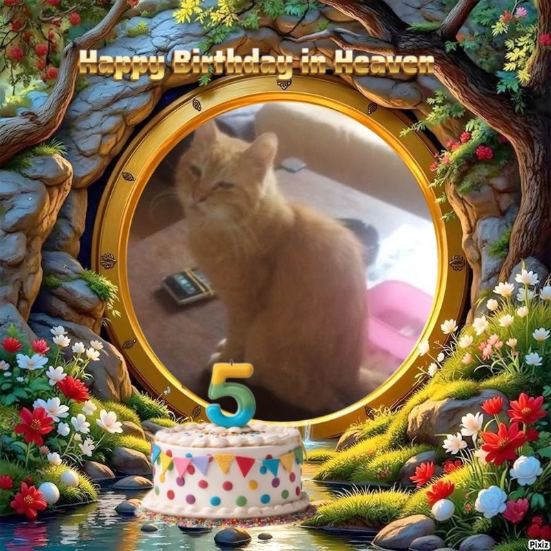 zoza1958 uploaded   3  day/s  ago