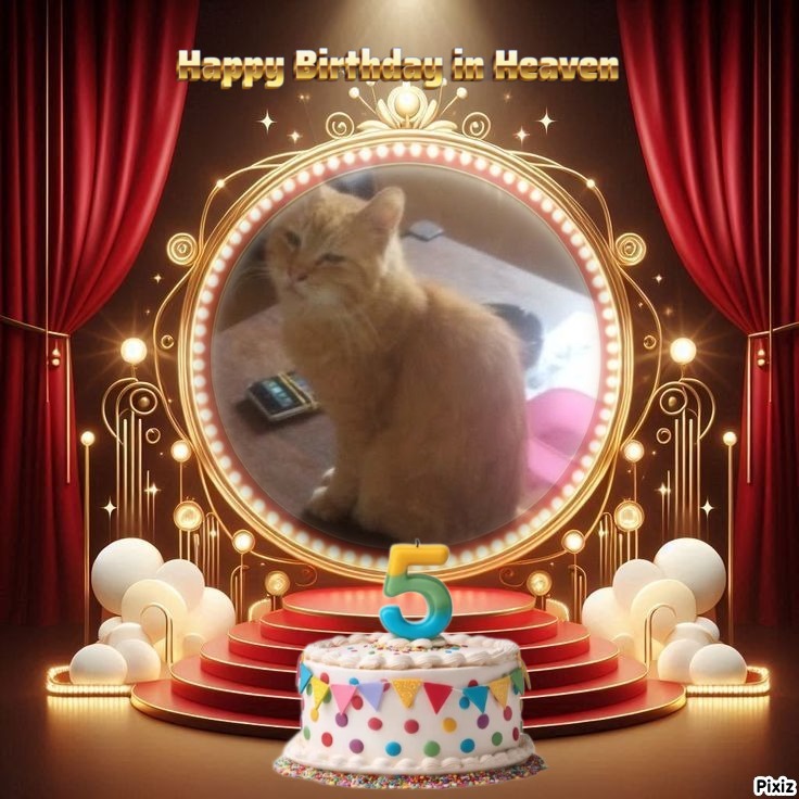 zoza1958 uploaded   3  day/s  ago