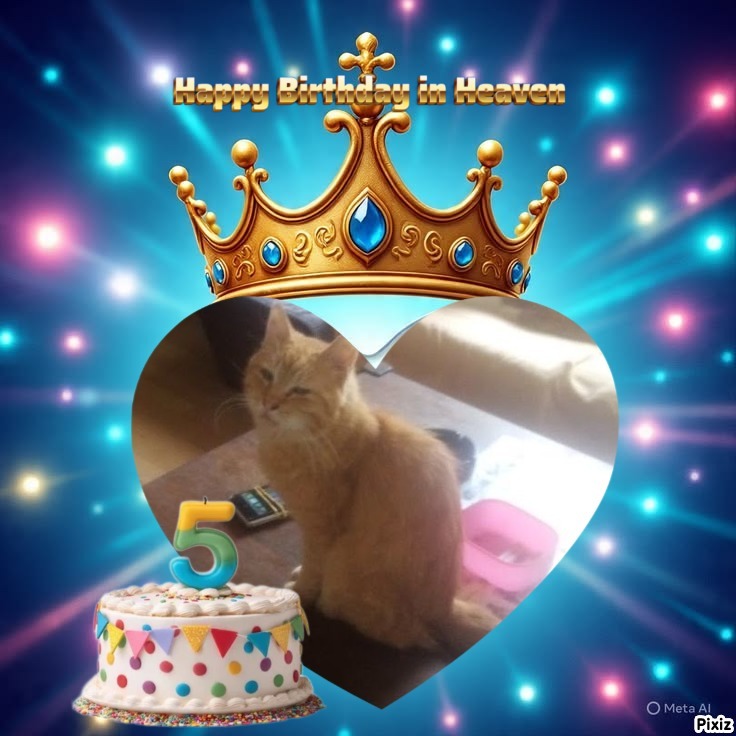 zoza1958 uploaded   3  day/s  ago