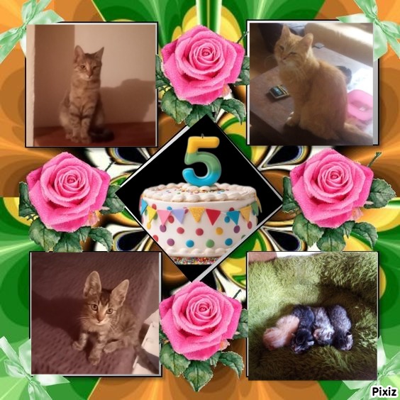 zoza1958 uploaded   4  day/s  ago