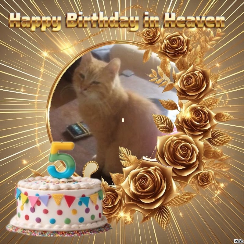 zoza1958 uploaded   3  day/s  ago