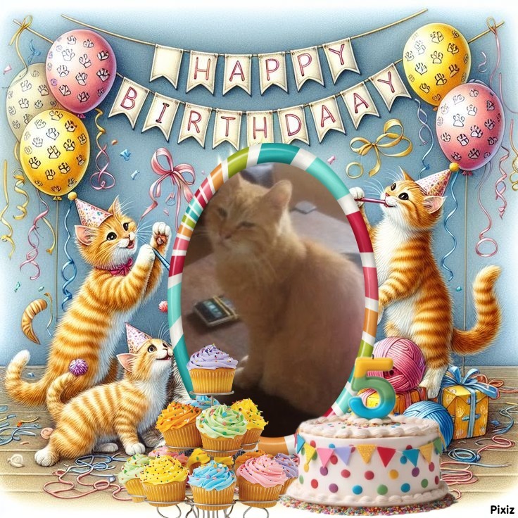 zoza1958 uploaded   3  day/s  ago