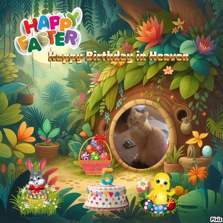 zoza1958 uploaded   3  day/s  ago