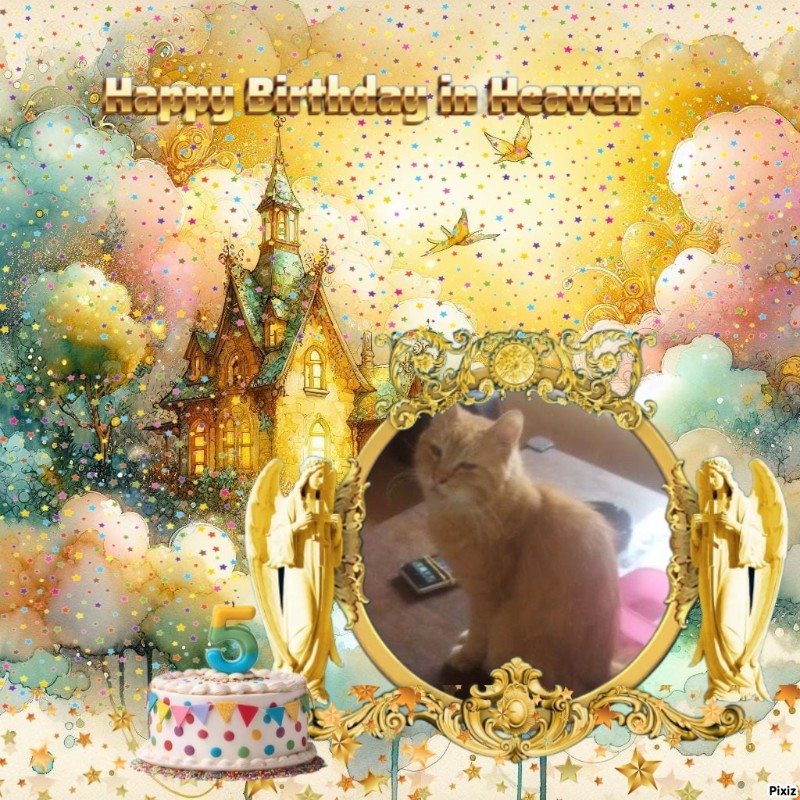 zoza1958 uploaded   3  day/s  ago