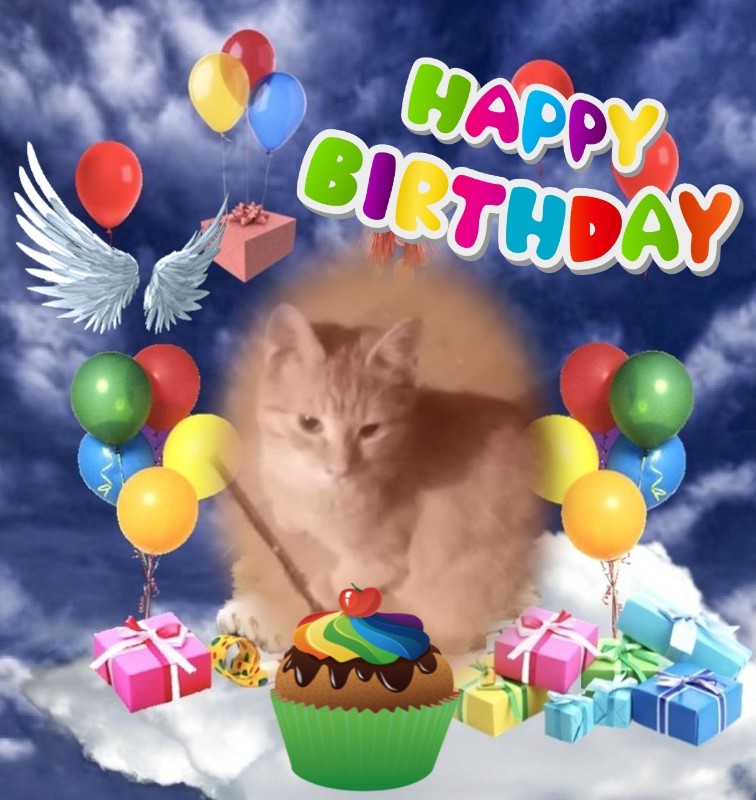 zoza1958 uploaded   4  day/s  ago