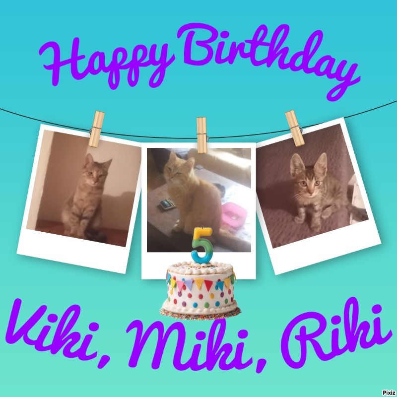 zoza1958 uploaded   4  day/s  ago