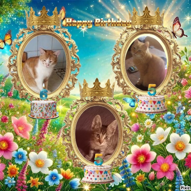 zoza1958 uploaded   4  day/s  ago