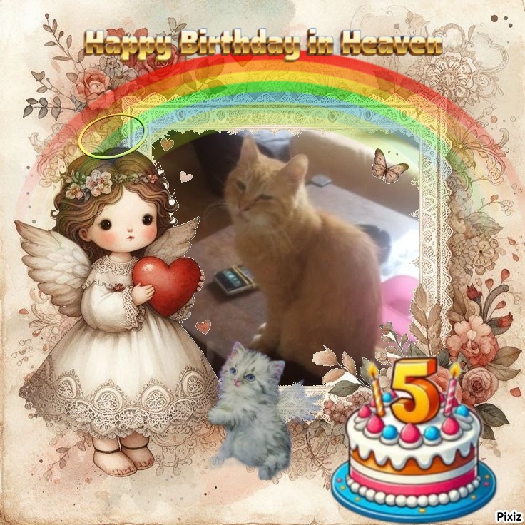 zoza1958 uploaded   3  day/s  ago