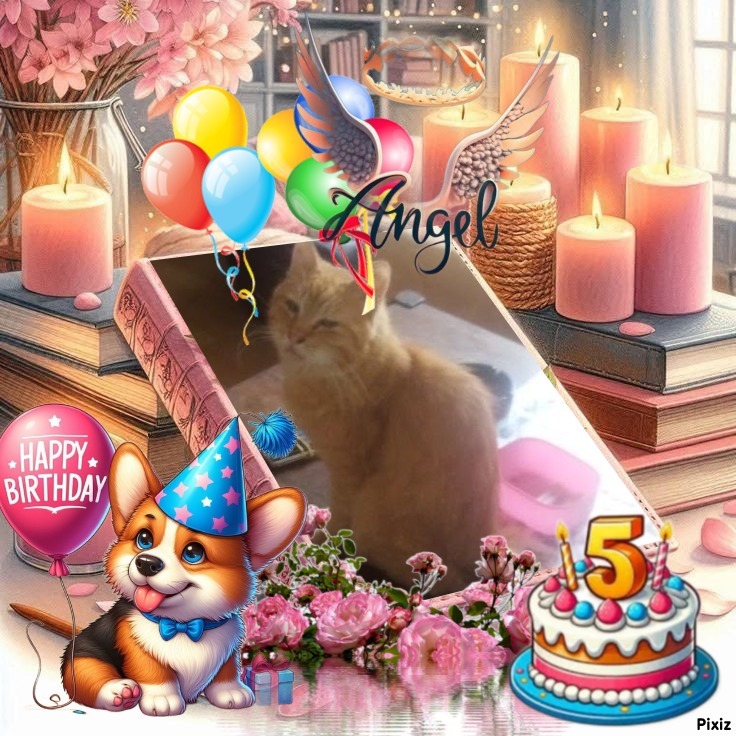 zoza1958 uploaded   3  day/s  ago