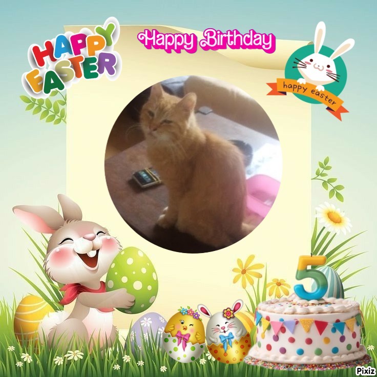 zoza1958 uploaded   4  day/s  ago