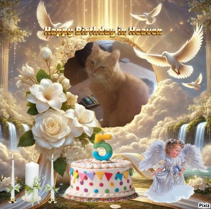 zoza1958 uploaded   3  day/s  ago