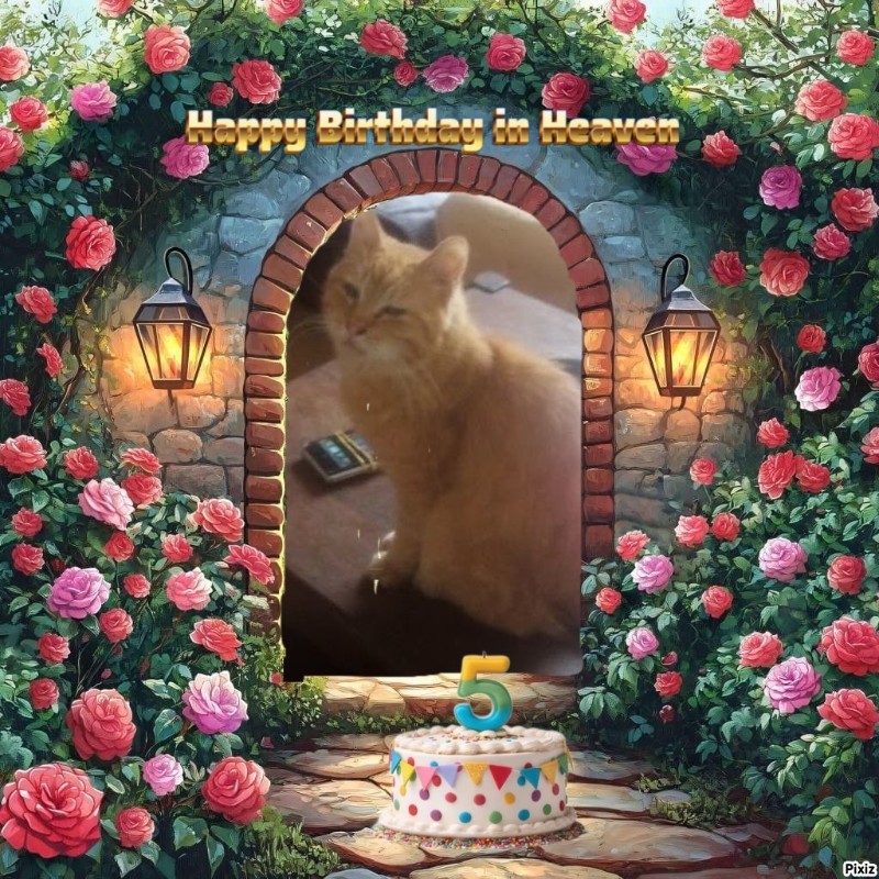 zoza1958 uploaded   3  day/s  ago