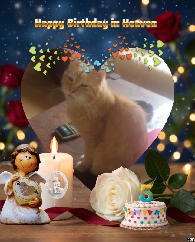 zoza1958 uploaded   3  day/s  ago