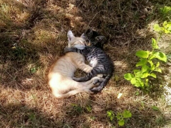 zoza1958 uploaded   4 year/s ago