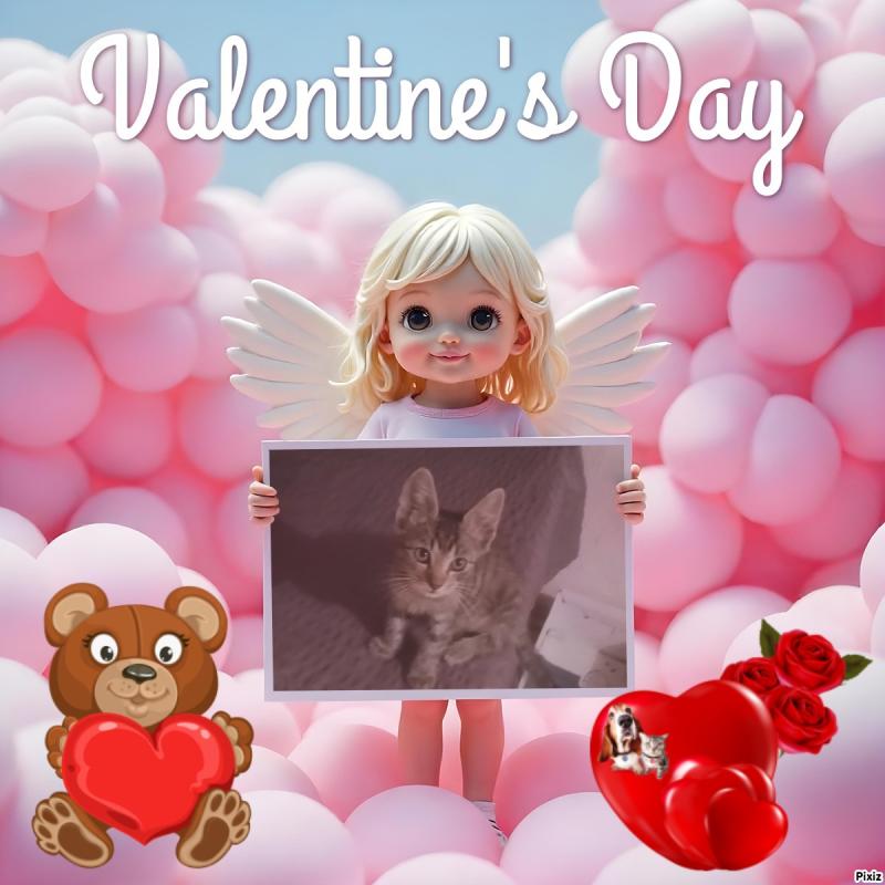 Prince Riki of the zoza1958 family