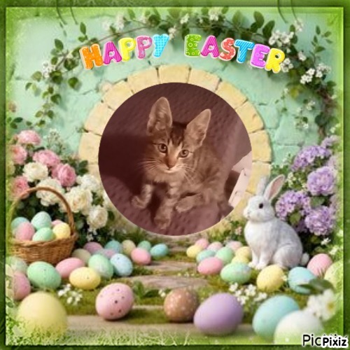 zoza1958 uploaded   6  day/s  ago