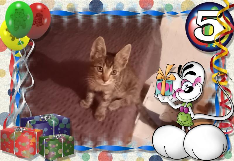 zoza1958 uploaded   5 hour/s ago