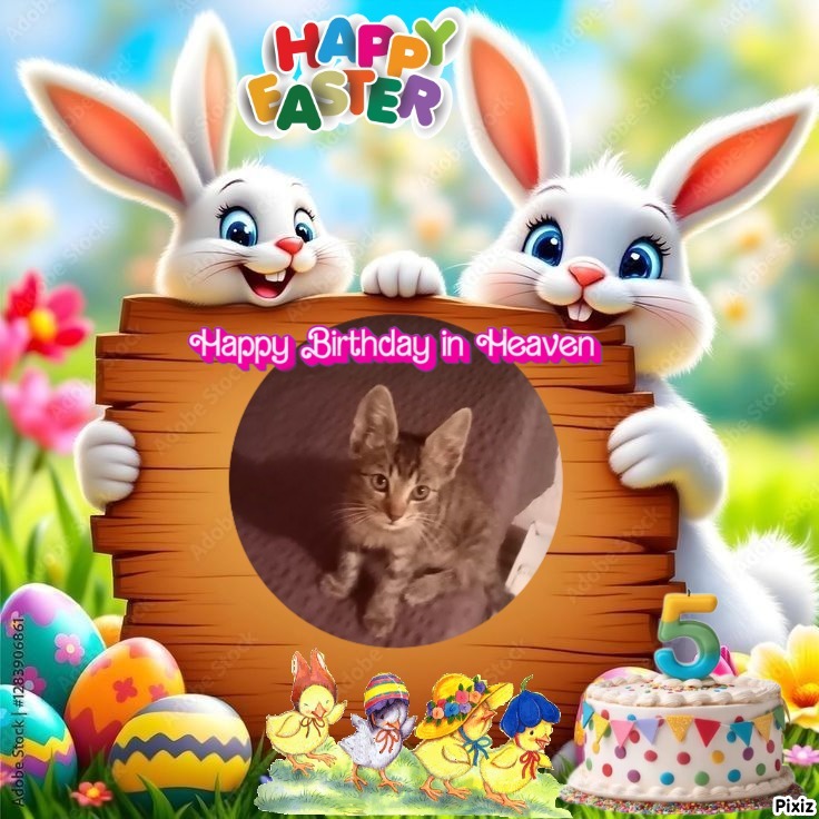 zoza1958 uploaded   4  day/s  ago