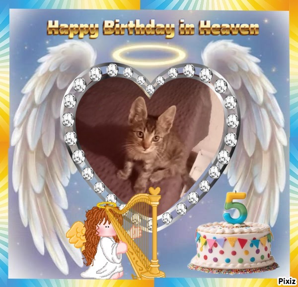 zoza1958 uploaded   3  day/s  ago