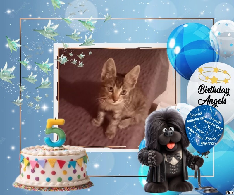 zoza1958 uploaded   3  day/s  ago