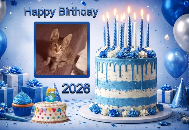 zoza1958 uploaded   4 hour/s ago