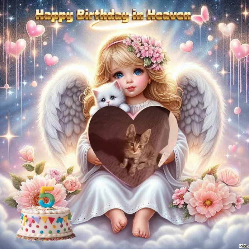 zoza1958 uploaded   3  day/s  ago