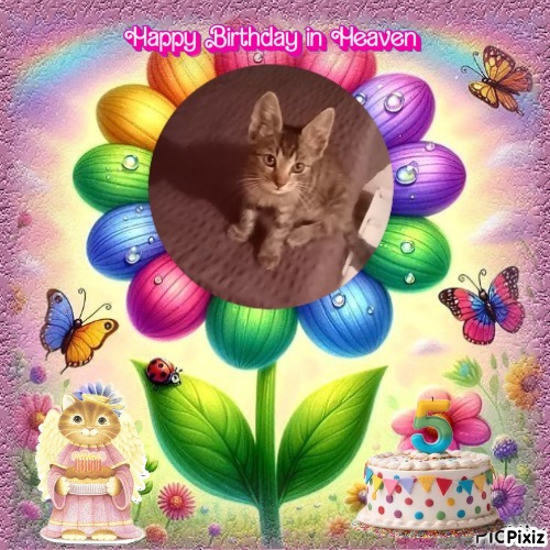 zoza1958 uploaded   4  day/s  ago