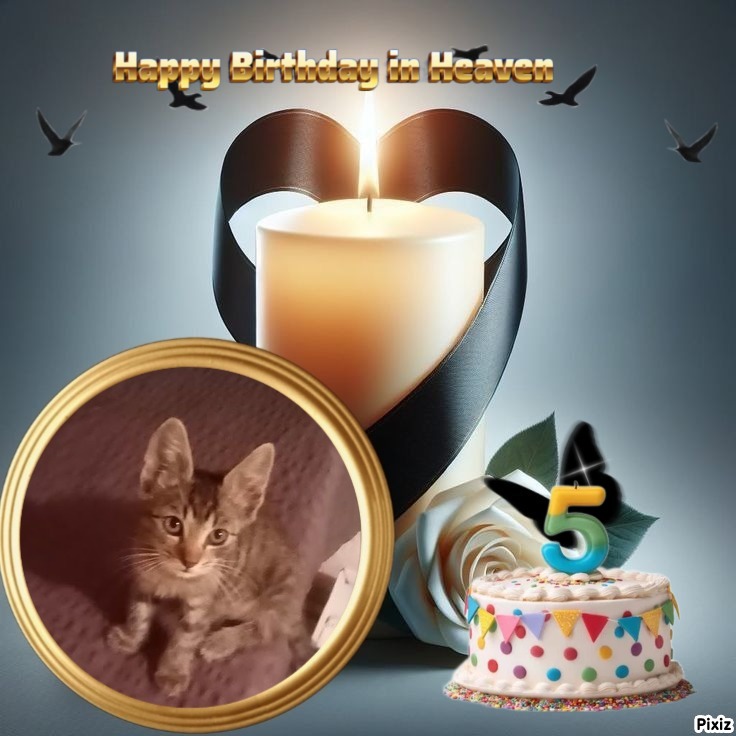 zoza1958 uploaded   3  day/s  ago