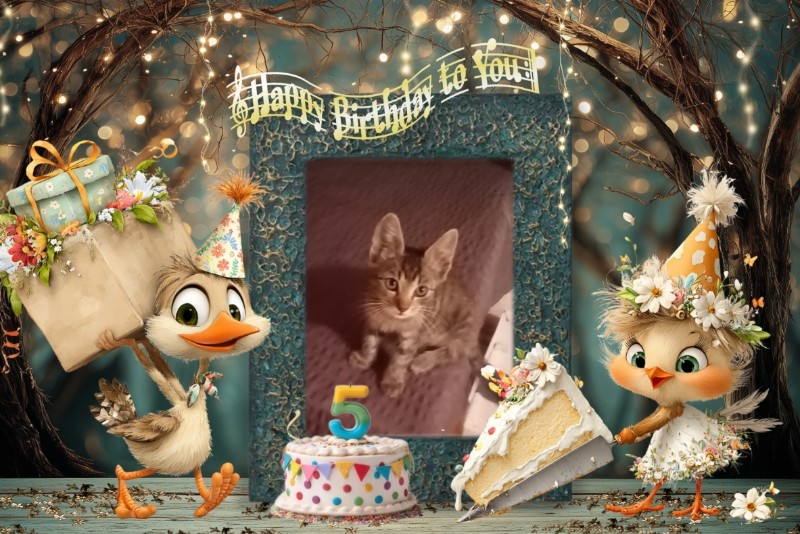 zoza1958 uploaded   4 hour/s ago