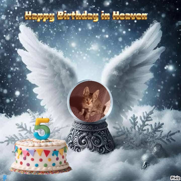 zoza1958 uploaded   3  day/s  ago