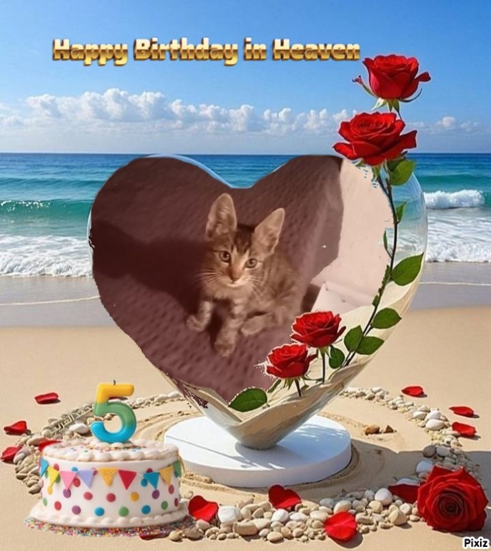 zoza1958 uploaded   3  day/s  ago