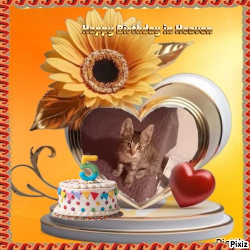 zoza1958 uploaded   3  day/s  ago